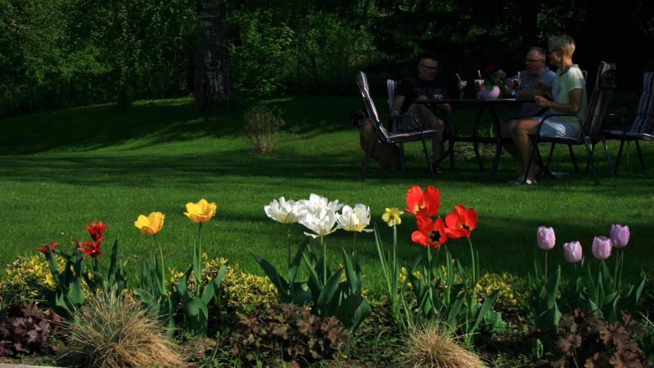 Zielone Okiennice Miłki Exterior foto