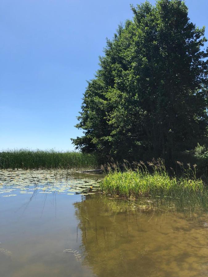 Zielone Okiennice Miłki Exterior foto