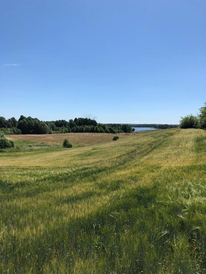 Zielone Okiennice Miłki Exterior foto